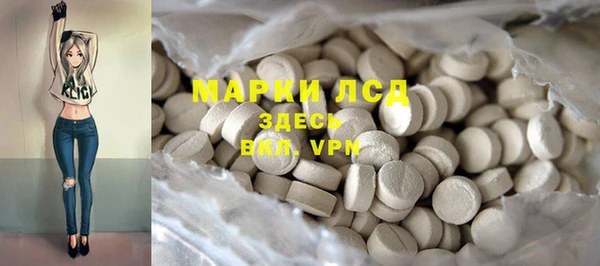 гашик Богородск