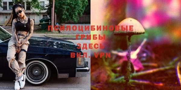 гашик Богородск