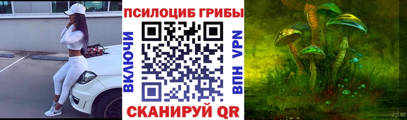 Псилоцибиновые грибы Magic Shrooms  как найти наркотики  Янаул 